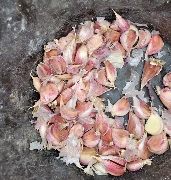 Cloves for planting {Rustic Roots Farm LLC}.jpg