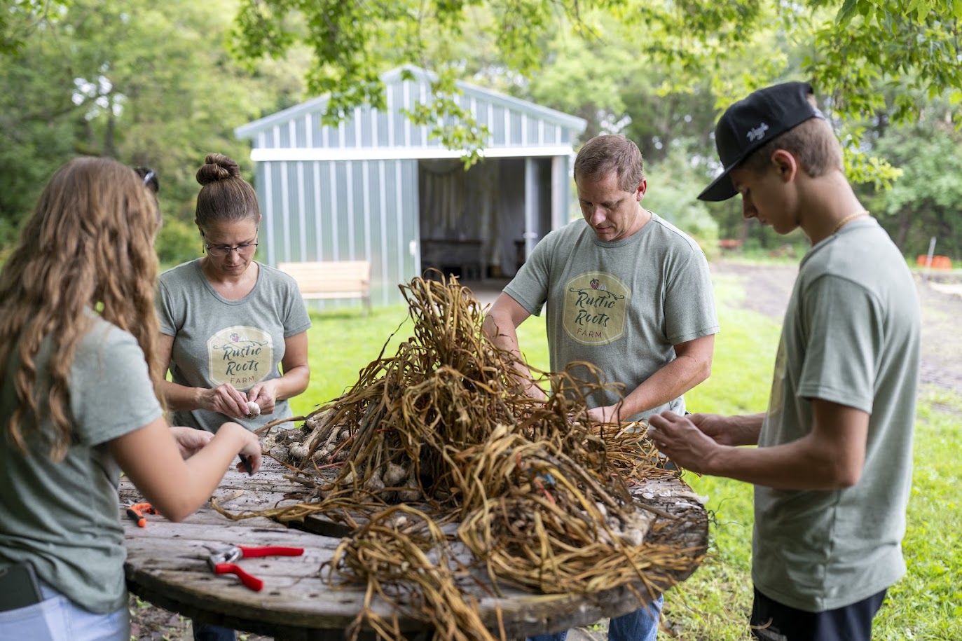 Garlic cleaning 4 {Rustic Roots Farm LLC-Scott Streble Photography}.jpg