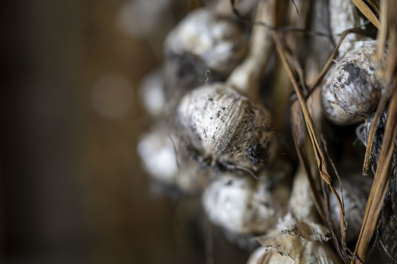 garlic hanging 2 {Rustic Roots Farm LLC-Scott Streble Photography}.jpg